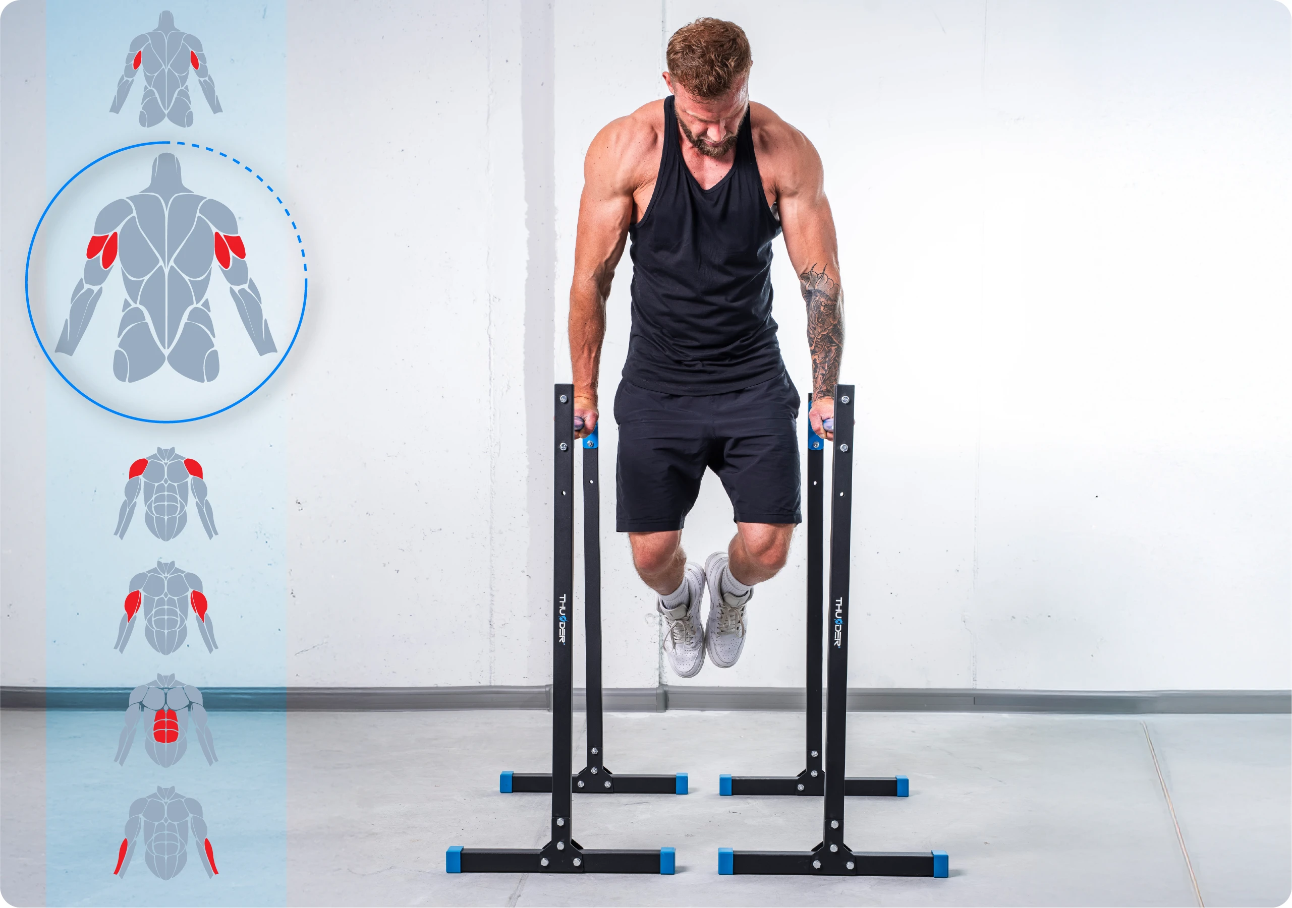 Kinek ajánlott a DIPSY